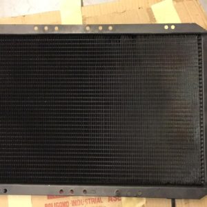 RADIADOR AGUA RENAULT 5 TL/GTL 961679